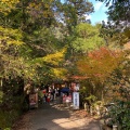 実際訪問したユーザーが直接撮影して投稿した箕面公園喫茶店山本珈琲館の写真