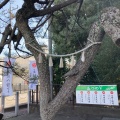 実際訪問したユーザーが直接撮影して投稿した下新田神社玉村八幡宮の写真