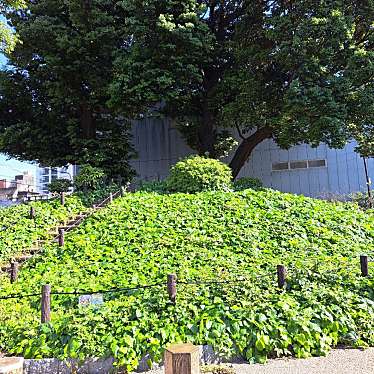 実際訪問したユーザーが直接撮影して投稿した大須公園那古野山古墳公園の写真