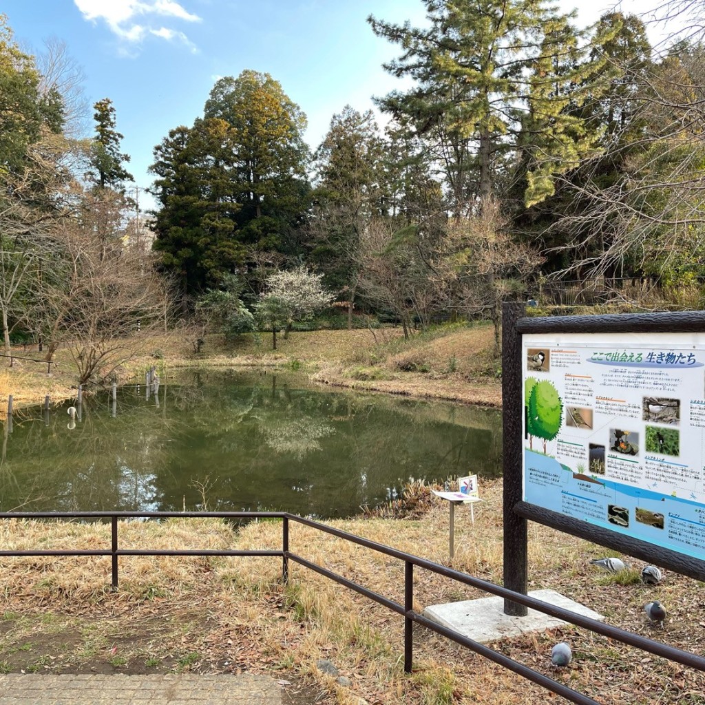 実際訪問したユーザーが直接撮影して投稿した藤が丘湖沼 / 池ひょうたん池の写真