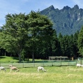 実際訪問したユーザーが直接撮影して投稿した高森公園月廻り公園の写真