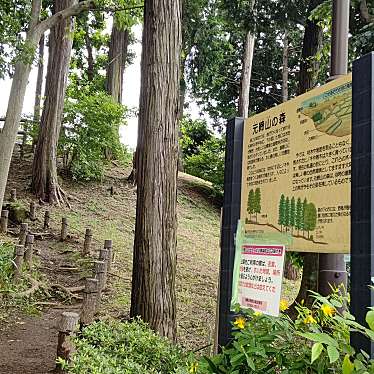 実際訪問したユーザーが直接撮影して投稿した南田中公園元締山の森緑地の写真