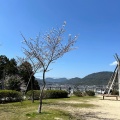 実際訪問したユーザーが直接撮影して投稿した可部東公園寺山公園の写真