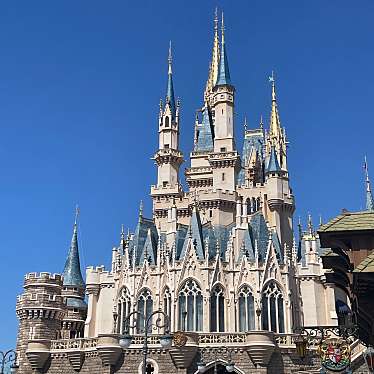 東京ディズニーランドのundefinedに実際訪問訪問したユーザーunknownさんが新しく投稿した新着口コミの写真