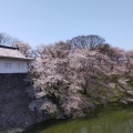 実際訪問したユーザーが直接撮影して投稿した霞城町公園国指定史跡山形城跡 霞城公園の写真