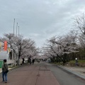 実際訪問したユーザーが直接撮影して投稿した千里万博公園イベントスペースお祭り広場の写真