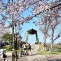 実際訪問したユーザーが直接撮影して投稿した西公園神社光雲神社の写真