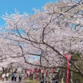 実際訪問したユーザーが直接撮影して投稿した一番丁公園和歌山城公園の写真