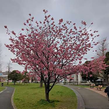 蒔田公園のundefinedに実際訪問訪問したユーザーunknownさんが新しく投稿した新着口コミの写真