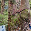 実際訪問したユーザーが直接撮影して投稿した玉置川神社玉置神社の写真