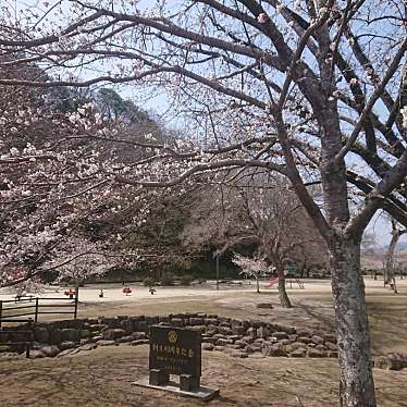 実際訪問したユーザーが直接撮影して投稿した公園亀山公園の写真