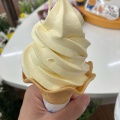 実際訪問したユーザーが直接撮影して投稿した藤原スイーツすずらん食品館の写真