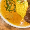 カレー2種 - 実際訪問したユーザーが直接撮影して投稿した立売堀カレースパイス食堂 nikkiの写真のメニュー情報