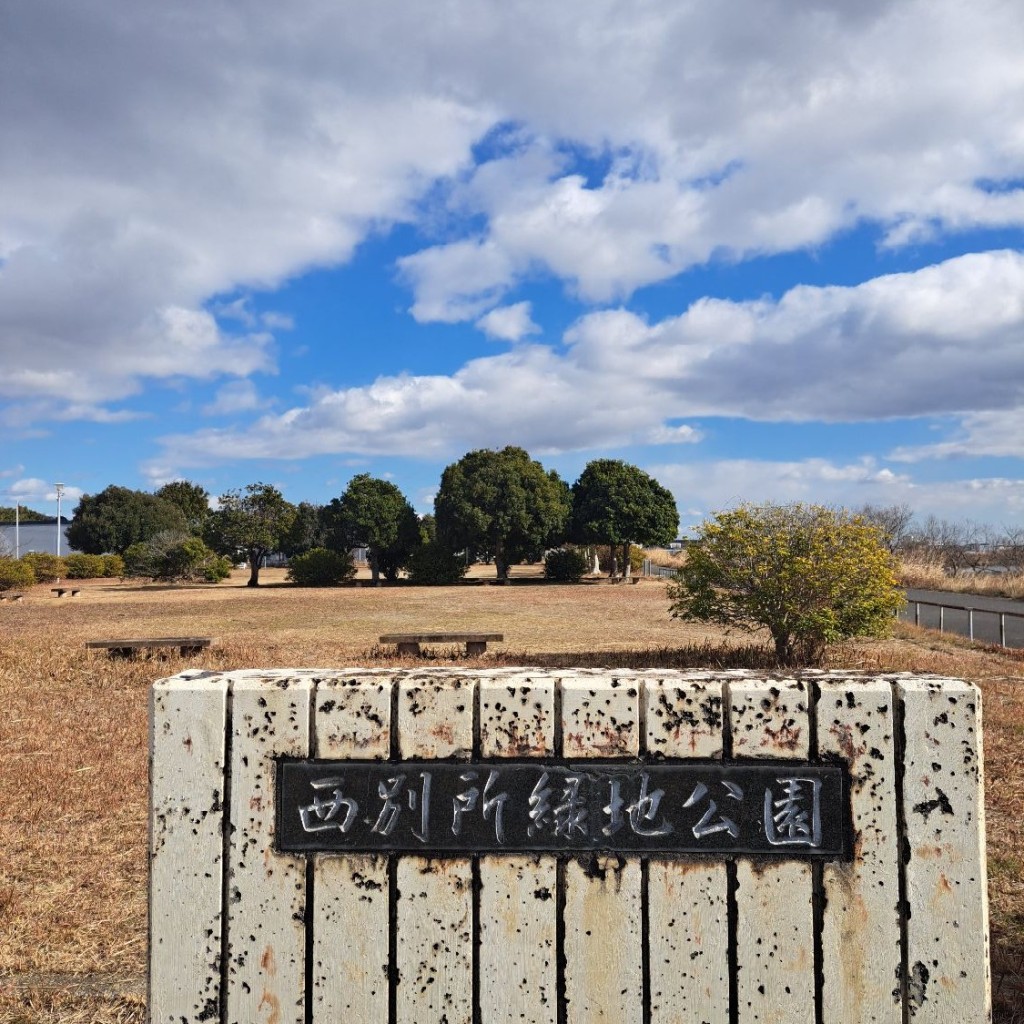 実際訪問したユーザーが直接撮影して投稿した西別所公園西別所緑地公園の写真