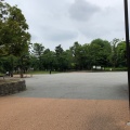 実際訪問したユーザーが直接撮影して投稿した谷中公園しょうぶ沼公園の写真