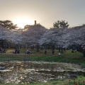 実際訪問したユーザーが直接撮影して投稿した別府公園別府公園の写真