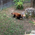 実際訪問したユーザーが直接撮影して投稿した野市町大谷動物園高知県立のいち動物公園の写真