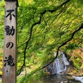 実際訪問したユーザーが直接撮影して投稿した南中野山 / 峠中野もみじ山の写真