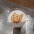 実際訪問したユーザーが直接撮影して投稿した菖蒲町菖蒲カフェCat Cafe MOFF モラージュ菖蒲の写真