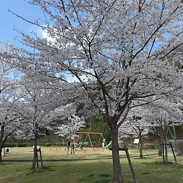 実際訪問したユーザーが直接撮影して投稿した太子堂公園信夫山公園の写真