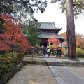 実際訪問したユーザーが直接撮影して投稿した井尻野寺宝福寺の写真