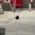 実際訪問したユーザーが直接撮影して投稿した別所神社熱田神社の写真