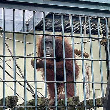 B-Sさんが投稿した東旭川町倉沼動物園のお店旭川市旭山動物園/アサヒカワシアサヒヤマドウブツエンの写真