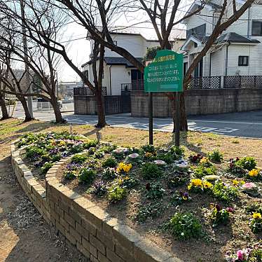 実際訪問したユーザーが直接撮影して投稿した土呂町公園見晴公園の写真