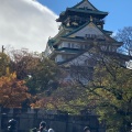 実際訪問したユーザーが直接撮影して投稿した大阪城公園大阪城公園の写真