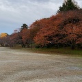 実際訪問したユーザーが直接撮影して投稿した馬場町公園鶴岡公園の写真