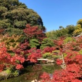 実際訪問したユーザーが直接撮影して投稿した長府黒門東町庭園長府庭園の写真