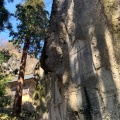 実際訪問したユーザーが直接撮影して投稿した山寺寺弥陀洞の写真