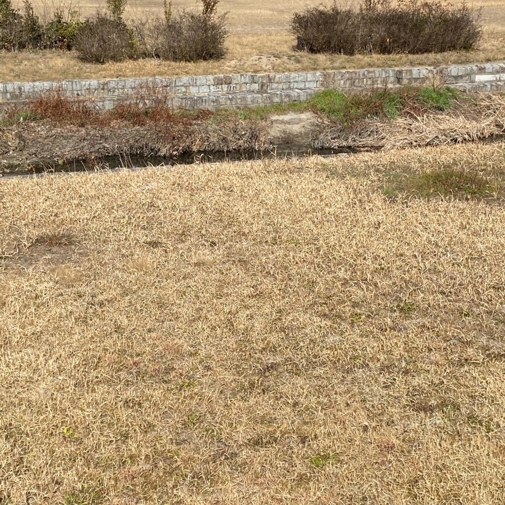 実際訪問したユーザーが直接撮影して投稿した名谷町公園奥畑河川広場の写真