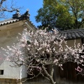 実際訪問したユーザーが直接撮影して投稿した道明寺神社道明寺天満宮の写真