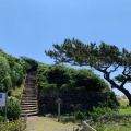 実際訪問したユーザーが直接撮影して投稿した太海浜島仁右衛門島の写真