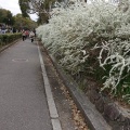 実際訪問したユーザーが直接撮影して投稿した明石公園公園明石公園の写真