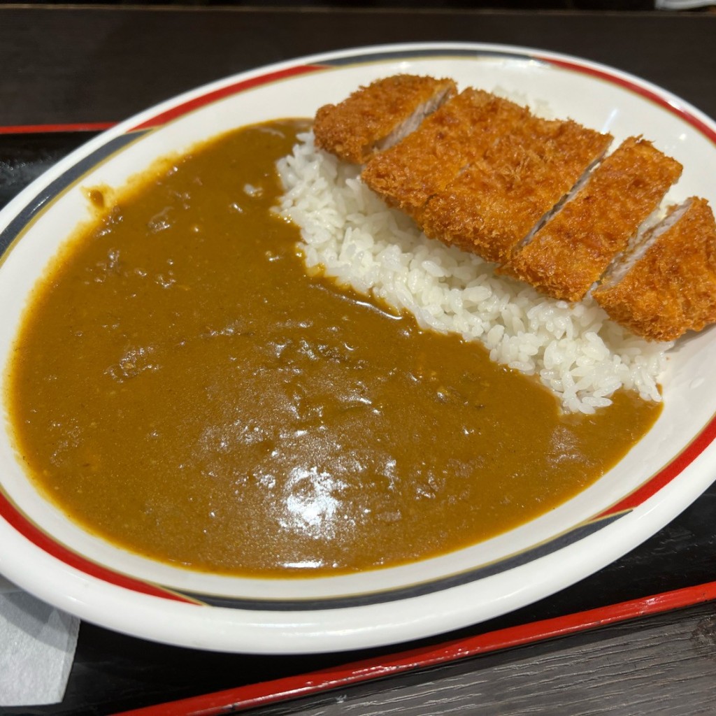 ユーザーが投稿したカツカレーの写真 - 実際訪問したユーザーが直接撮影して投稿した真木町うどん資さんうどん 鳥栖真木店の写真