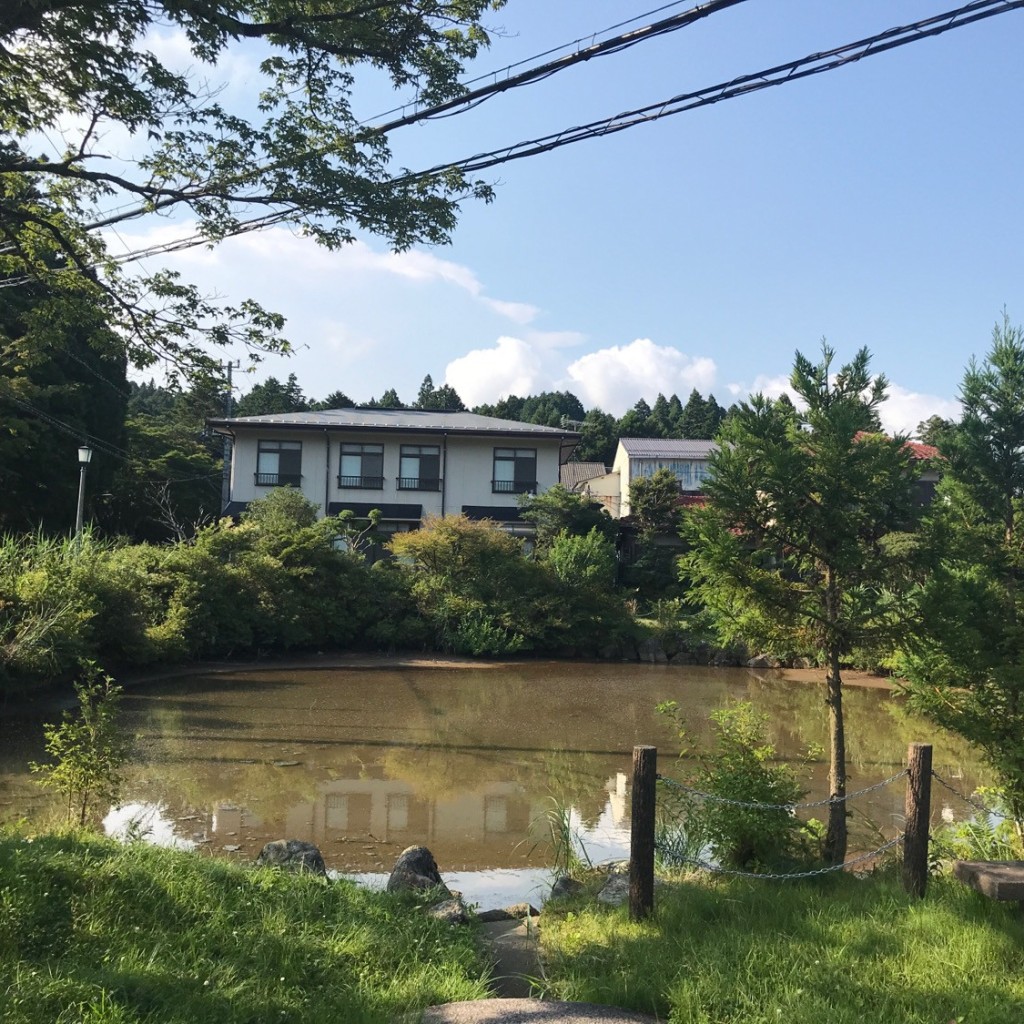 実際訪問したユーザーが直接撮影して投稿した芦之湯湖沼 / 池阿字ヶ池の写真