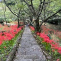 実際訪問したユーザーが直接撮影して投稿した榛原赤埴寺佛隆寺の写真