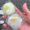 シャインマスカット - 実際訪問したユーザーが直接撮影して投稿した大須和菓子将満 大須店の写真のメニュー情報