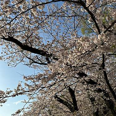 美味しいものに目がないのですさんが投稿した御殿山公園のお店井の頭恩賜公園/イノカシラオンシコウエンの写真