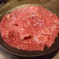 実際訪問したユーザーが直接撮影して投稿した大瀬肉料理炭火焼肉 丑年の写真