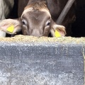 実際訪問したユーザーが直接撮影して投稿した小比企町カフェTOKYO FARM VILLAGEの写真