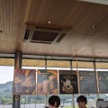 実際訪問したユーザーが直接撮影して投稿した黒袴町カフェスターバックス コーヒー 佐野サービスエリア(下り線)店の写真