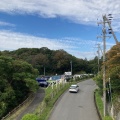 実際訪問したユーザーが直接撮影して投稿した楠本公園兵庫県立淡路島公園の写真