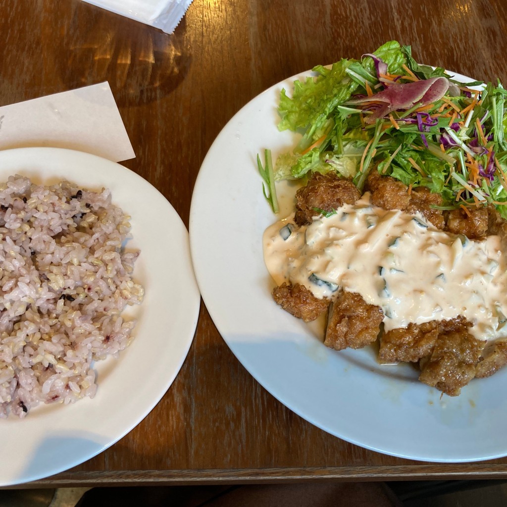 ユーザーが投稿したやわらか揚げ鶏のタルタル南蛮の写真 - 実際訪問したユーザーが直接撮影して投稿した学南町洋食レストラン エルグレコの写真