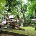 実際訪問したユーザーが直接撮影して投稿した大豆神社春日山神社の写真