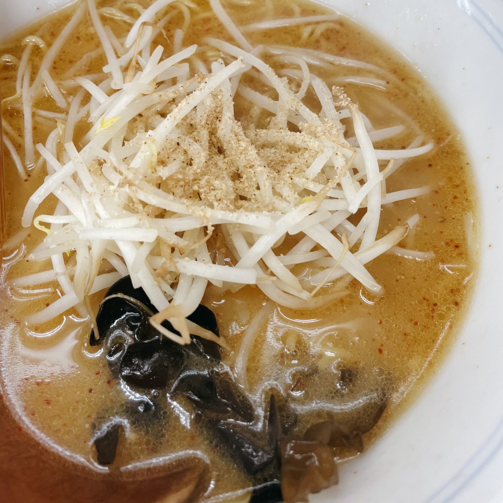 実際訪問したユーザーが直接撮影して投稿した青葉ラーメン / つけ麺元祖ラーメンショップ 南蛮ラーメンの写真