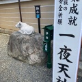 実際訪問したユーザーが直接撮影して投稿した壬生梛ノ宮町寺壬生寺の写真