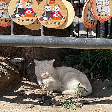 ゆるりゆらりさんが投稿した今戸神社のお店今戸神社/イマド ジンジャの写真